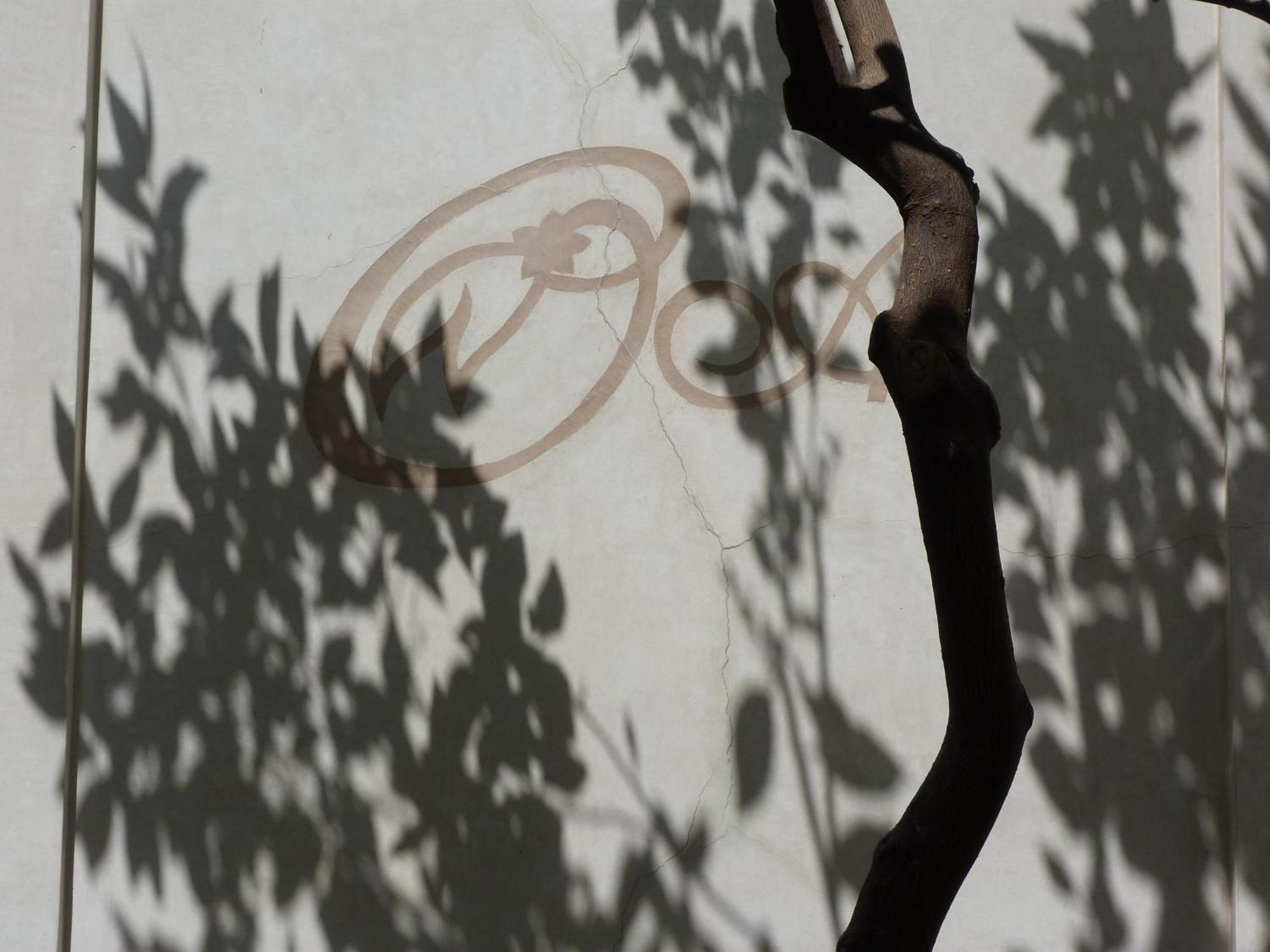 Riad Les Orangers D'Alilia Marrakesh Exterior foto