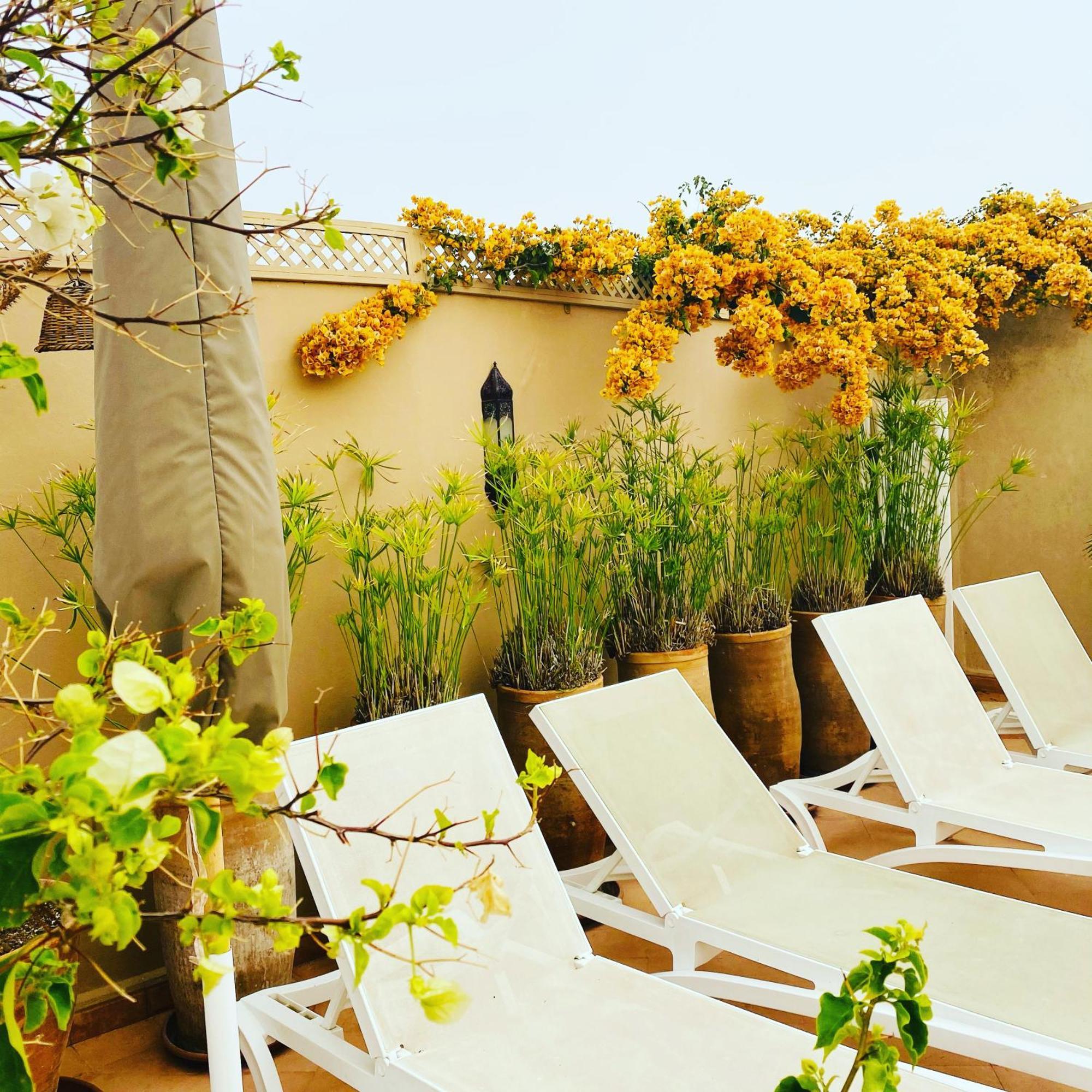Riad Les Orangers D'Alilia Marrakesh Exterior foto