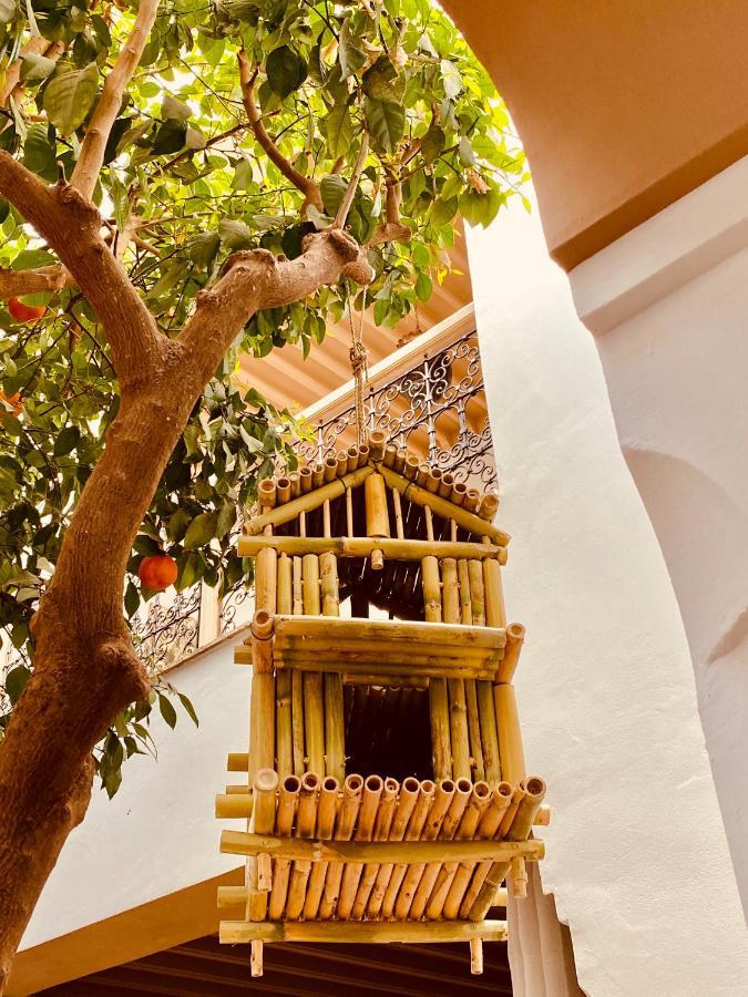 Riad Les Orangers D'Alilia Marrakesh Exterior foto